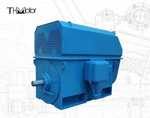 YX 6kv 10kv 3 Phase Asynchronous High Rpm High Voltage Electric Motors IC611