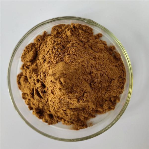 Quality Villous Amomum Fruit Extract/villous amomum fruit for sale