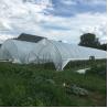 Buy cheap Reasonable Cost Plastic Film Greenhouse 0.12mm-0.2mm Thickness from wholesalers