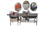 3000KG/H Vegetable Fruit Washing Machine Salad Cleaning equipment