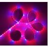 Buy cheap 5050 SMD Waterproof Indoor Plant Grow Lights from wholesalers