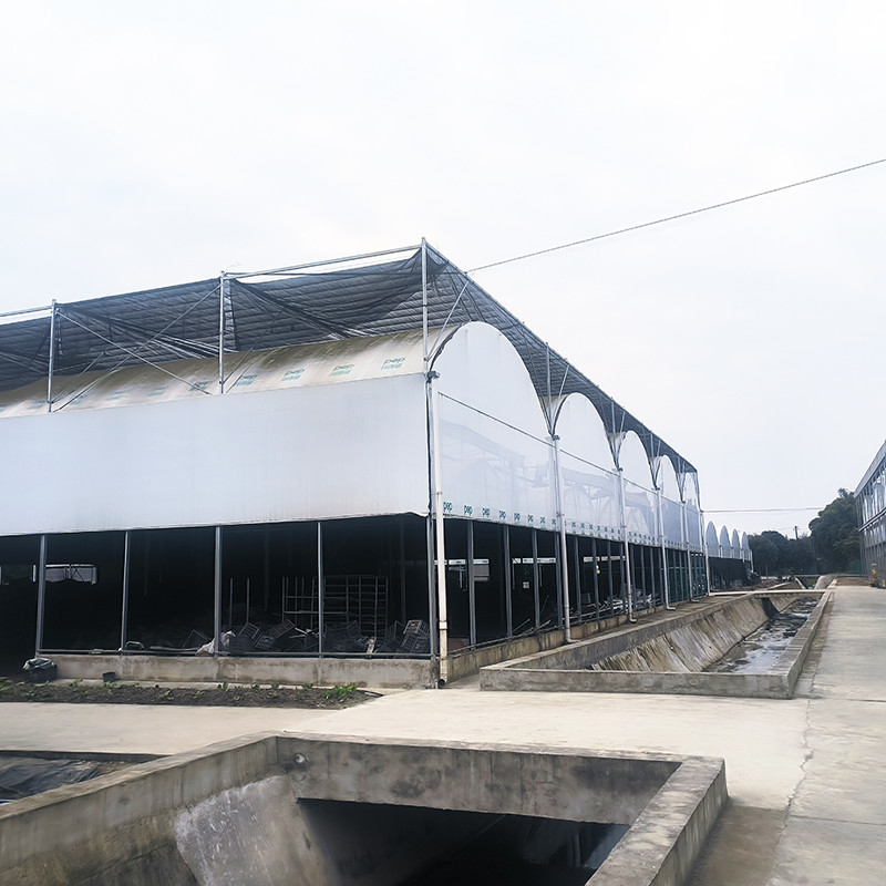 Nursery Commercial Blackout System Plastic Panda Film Multi-span Greenhouse