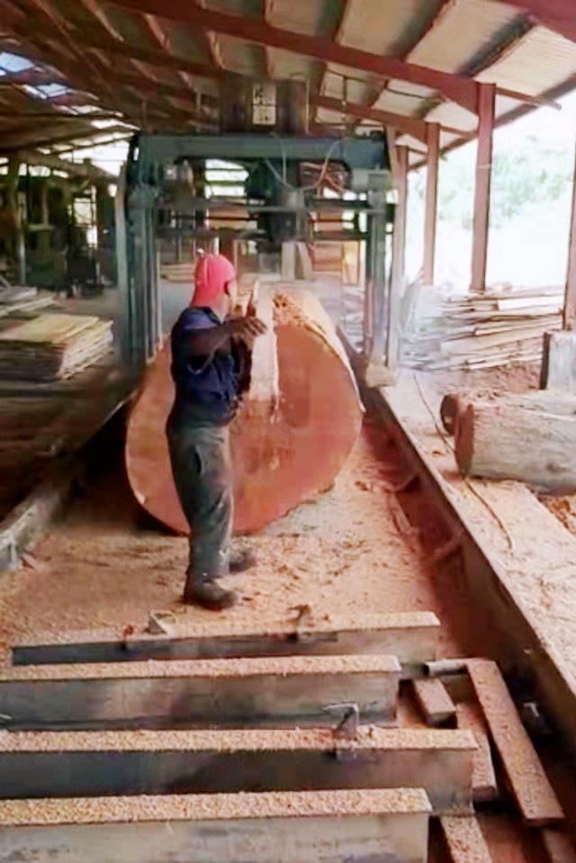 DS2000 Circular Blade Saw Mill Swing Blade Timber Cutting Machine
