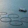 Buy cheap Black Aquaculture Net Advanced R&D Corrosion Resistance Tear Resistance from wholesalers