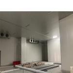 Commercial Cold Storage Room with Freon Refrigerant and Suitable Temperature