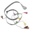 Buy cheap Edan SE-2003 SE-2012 Holter ECG Cable Patient Cable 10 Lead IEC Snap Electrode Leads from wholesalers