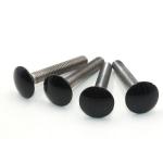 DIN 603 Galvanized Stainless Steel 304 Lock Bolts Nuts M8 Size Mushroom Head