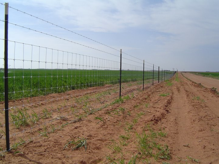 Electric Galvanized Iron Wire Cattle Mesh Fencing For Livestock
