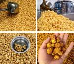 Industrial Gas Heated Automatic Kettle Popcorn Maker