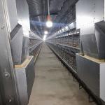 200-300 chickens / set Hot Dip Galvanized Chicken Cage For Chicken Farms Broiler