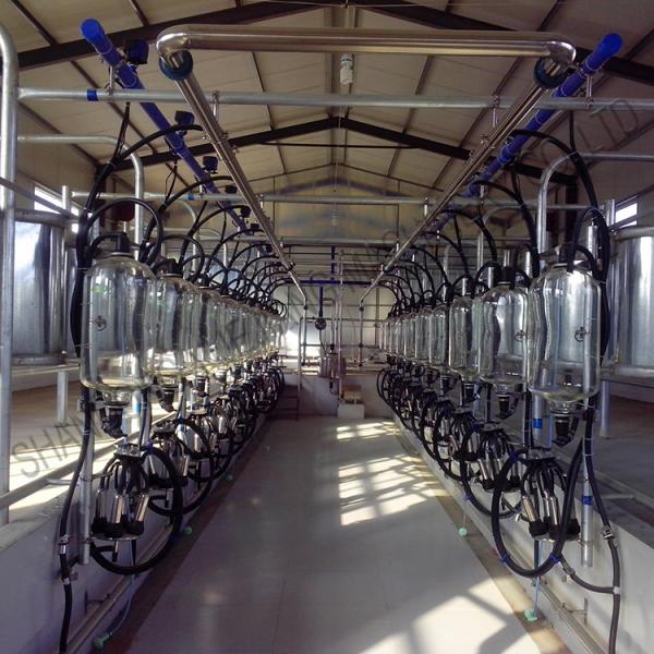 Buy cheap 380v 7.5KW Automated Milking Parlour Herringbone Type from wholesalers