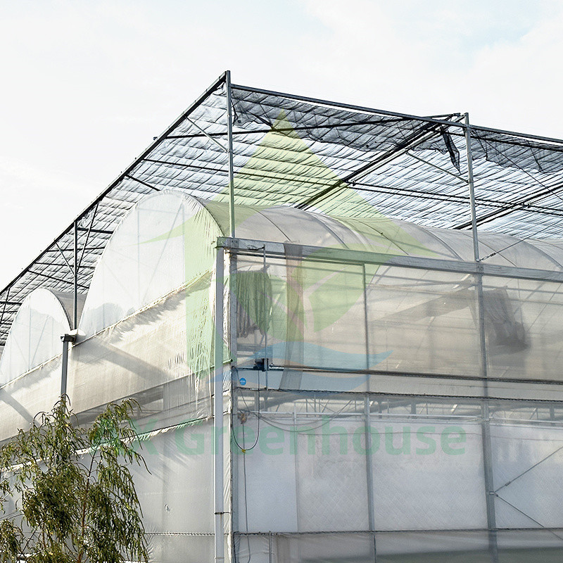 Tomato Growing Multi Span Polytunnel Plastic Film Greenhouse Farming Equipment