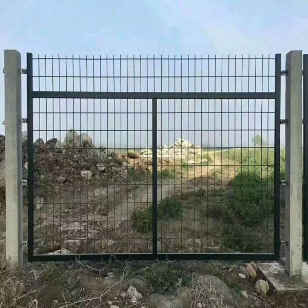 Buy cheap 1.2m Post Height Welded Mesh Fence With Steel Post And 50x50mm Size from wholesalers