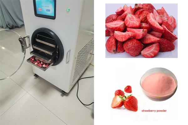 Buy cheap 6kg Mini Freeze Dryer PLC Control Electric Heating from wholesalers