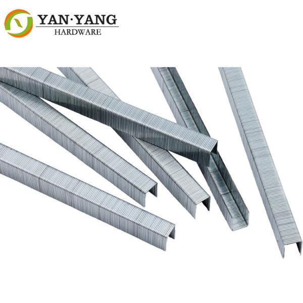 Buy cheap Furniture hardware length 10 mm 22 gauge upholstery gun staples 7112 from wholesalers
