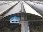 Tech Double Layer Agricultural Plastic Film Hydropoinics Greenhouses for