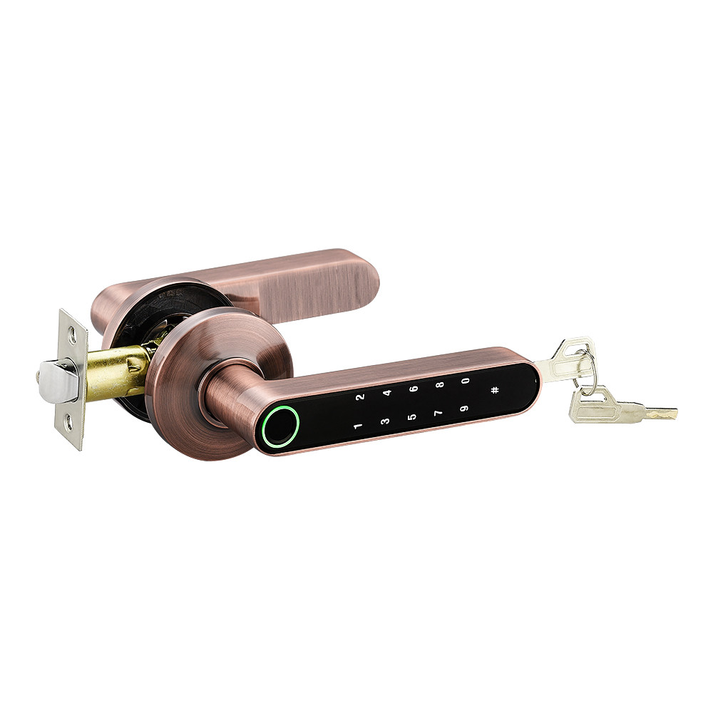 F4 Smart Fingerprint Door Locks