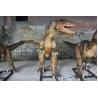 Buy cheap Lifelike Head Swing Hand Carved Animatronic Dinosaur Display Business Park from wholesalers