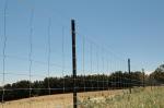 Galvanized Steel Wire Mesh Fence Animal 72 inch field fence Zoo Wild Fencing