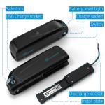 Various Lithium Electric Bicycle Battery Replacment For Ebike 24V 36V
