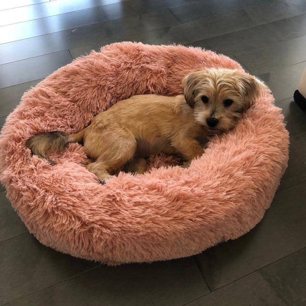 Buy cheap Fluffy Brown Pink Anti Anxiety Dog Bed 50cm 60cm 70cm Diameter Dog Mattress Bed Calming Dog Bed Donut Cat Bed from wholesalers