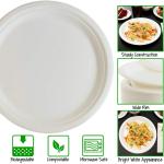 PT2095 Pure White 4 Inch Biodegradable Disposable Plates And Cutlery For