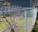 High Strength Green Wire Mesh Fence 50*100mm PVC Coated Iron Wire Material