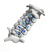 Buy cheap 6mm - 16mm Laminoplasty Plate Cervical Spine Open Door Plate Titanium Alloy product