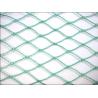 Buy cheap Diamond Mesh Anti Bird Netting , HDPE Fruit Tree Bird Netting , Green from wholesalers