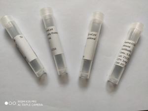 Wholesale Recombinant Mouse Monoclonal Antibody SARS-CoV-2 / 2019-NCoV Spike S2 ECD Protein from china suppliers