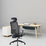 Free Shipping Modern Luxury Executive Swivel Mesh Office Chair with Adjustable