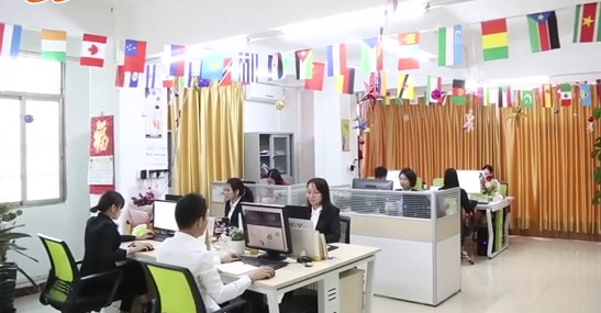 OEM ODM Black Steel Land Cruiser Bumper Guard 4x4 Auto Accessories