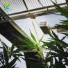 Buy cheap Light Deprivation Automatic Blackout Greenhouse For Cannabis Growing from wholesalers