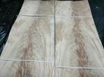 Burl Crotch Veneers MAHOGANY CROTCH WOOD VENEER for Furniture Cabinet Interior