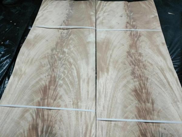 Burl Crotch Veneers MAHOGANY CROTCH WOOD VENEER for Furniture Cabinet Interior