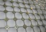 Professional Rockfall Protection Netting Low Carbon Steel Wire Slope Protection