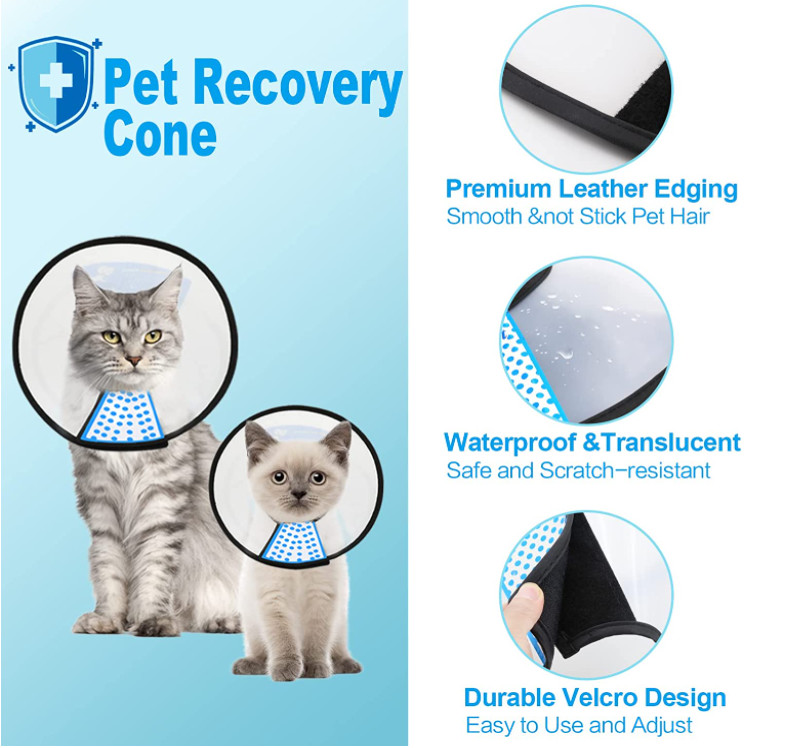 plastic cat collar
