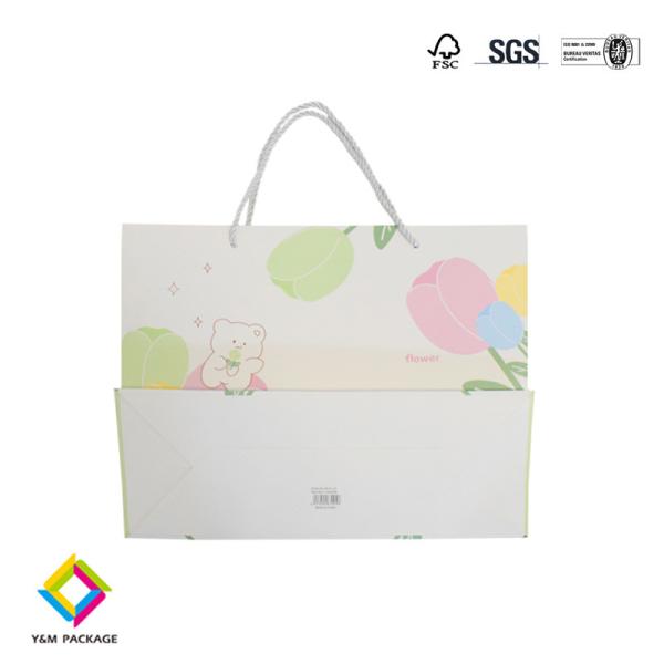 Buy cheap Clothing Paper Bag Custom Printed Takeaway Shopping Paper Bag Craft Paper Gift Bags from wholesalers