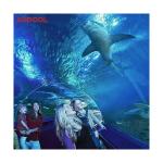 Fashion Design Piscina Pvc Adult Children Durable Inflatable Acrylic Frame
