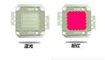 Multi Color Electrical Lighting Accessories COB Powerful LED Chip 10000 / 15000