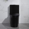 Buy cheap 1.6 Gpf Matt Black Dual Flush Elongated One Piece Toilet American Standard from wholesalers