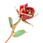 24k Gold Plated Real Rose Gold Foil Roes For Mother's Day Valentine's Day Gift