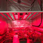 IR 730nm 660nm Red Light 2.5ft UV IR Grow Light For Fruiting Flowering