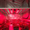 Buy cheap IR 730nm 660nm Red Light 2.5ft UV IR Grow Light For Fruiting Flowering from wholesalers