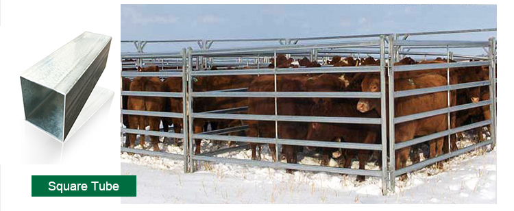 Welded Netting Manufacture Supplier 2x2 Galvanized Cattle Welded Wire Mesh Panel