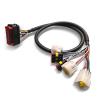 Buy cheap Molex Connector 2AWG-32AWG Auto Electrical Cable Assembly Wire Harness from wholesalers