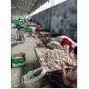 Buy cheap China fresh garlic export to Brazil by Pioneer Garlic Group from wholesalers