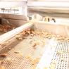 Buy cheap CE Verified 380V Pecan Shelling Machine With High Perfect Kernel Rate from wholesalers