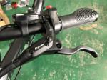 20 Fat Tire Folding Electric Bike Lightweight Citizen 20X4.0 48v 500w 13Ah RICH