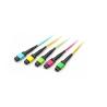 Buy cheap MPO MTP Cable 8 Fiber 12 Fiber 24 Fiber OM5 OFNR Jacket Lime Green from wholesalers